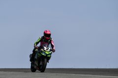 DSC4246